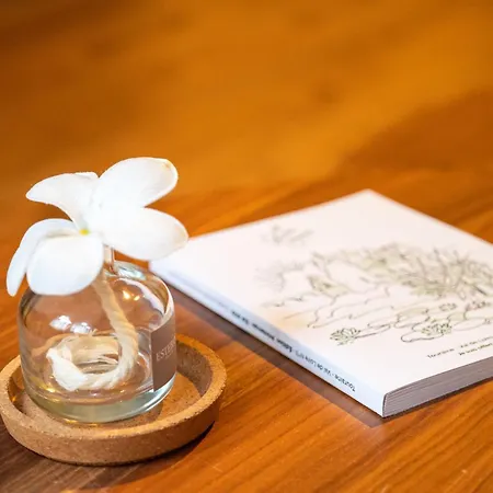 Le Cygne - Hyper Centre Quartier Opera *