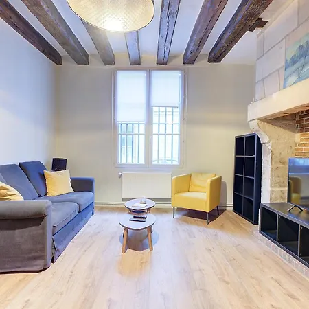 Appartement Le Cygne - Hyper Centre Quartier Opera Tours