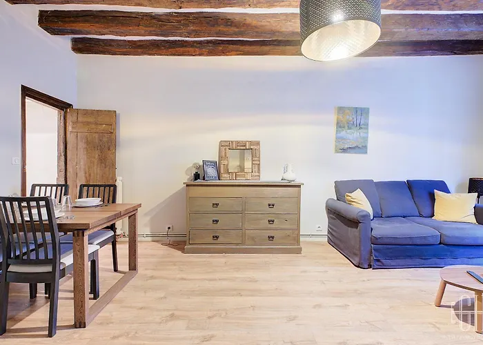 Le Cygne - Hyper Centre Quartier Opera 公寓 图尔