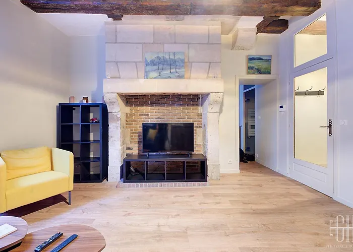 Le Cygne - Hyper Centre Quartier Opera 图尔