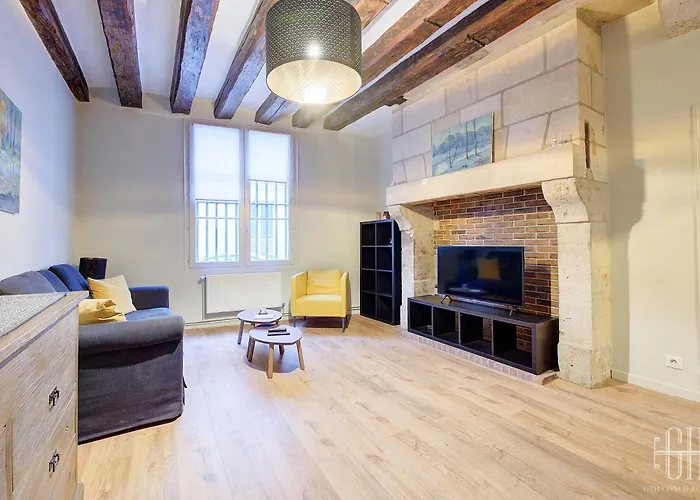 Le Cygne - Hyper Centre Quartier Opera 图尔